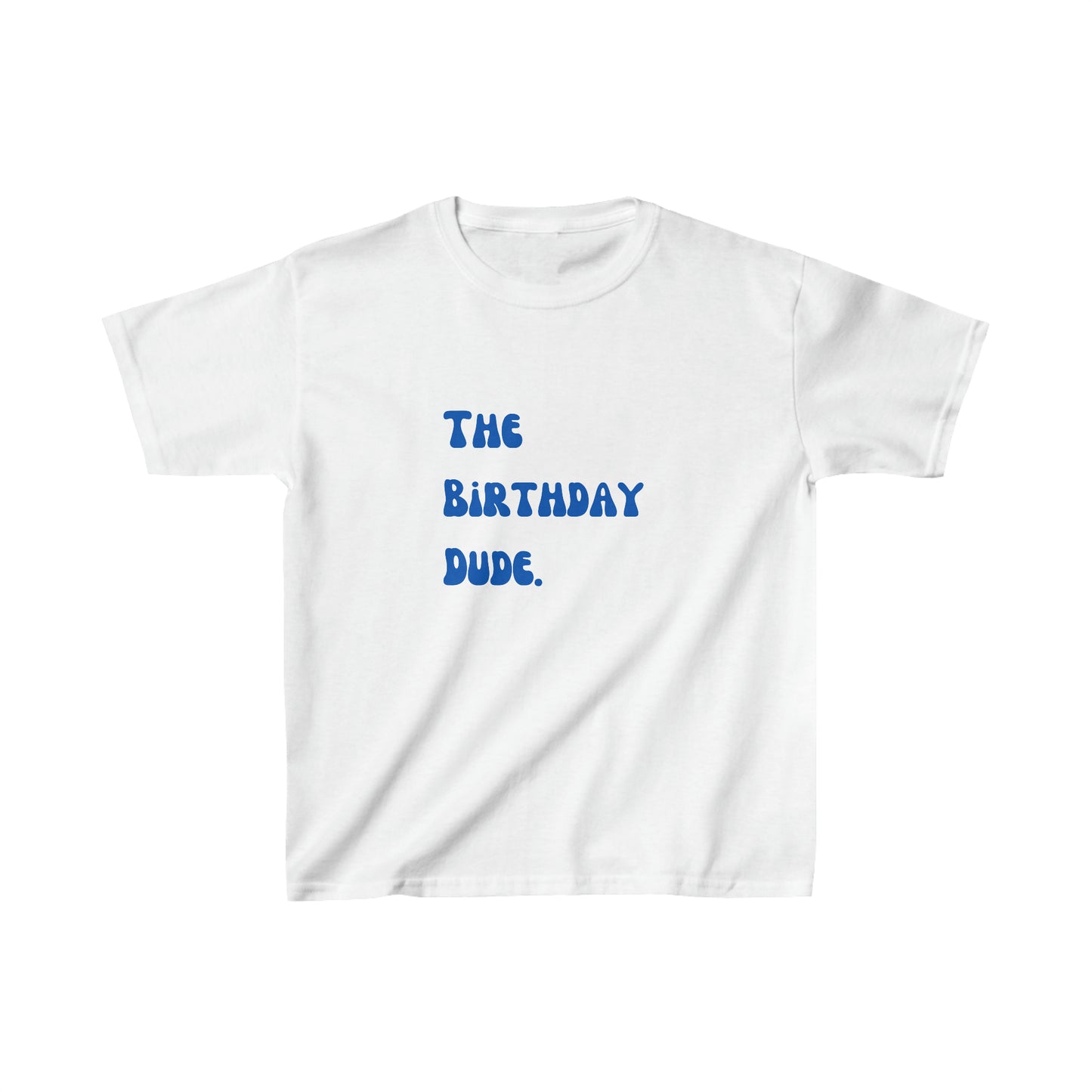 The birthday dude shirt boy birthday shirt kids funny birthday shirt kindergarten shirt little dude shirt little girl shirt Christmas shirt birthday shirts