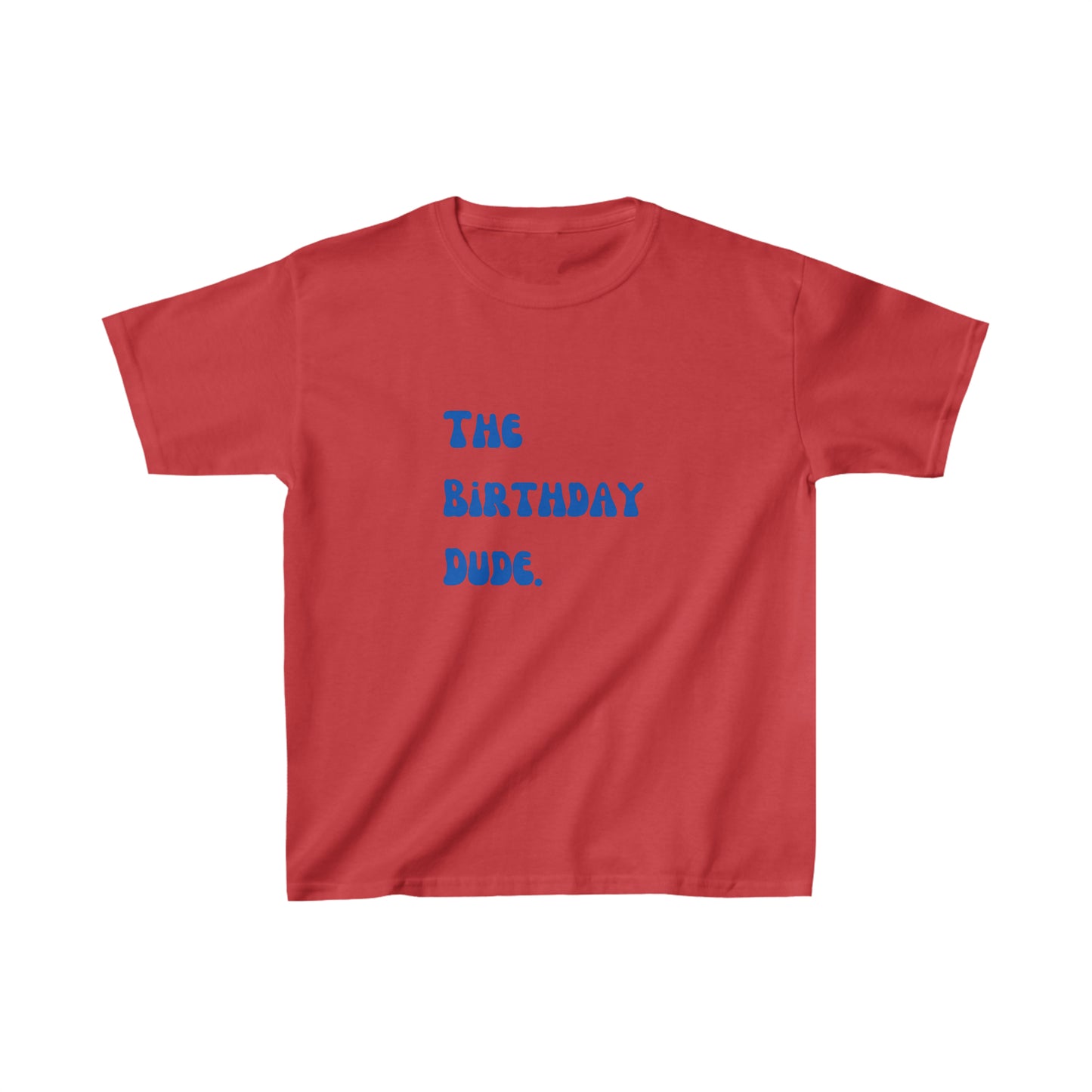The birthday dude shirt boy birthday shirt kids funny birthday shirt kindergarten shirt little dude shirt little girl shirt Christmas shirt birthday shirts