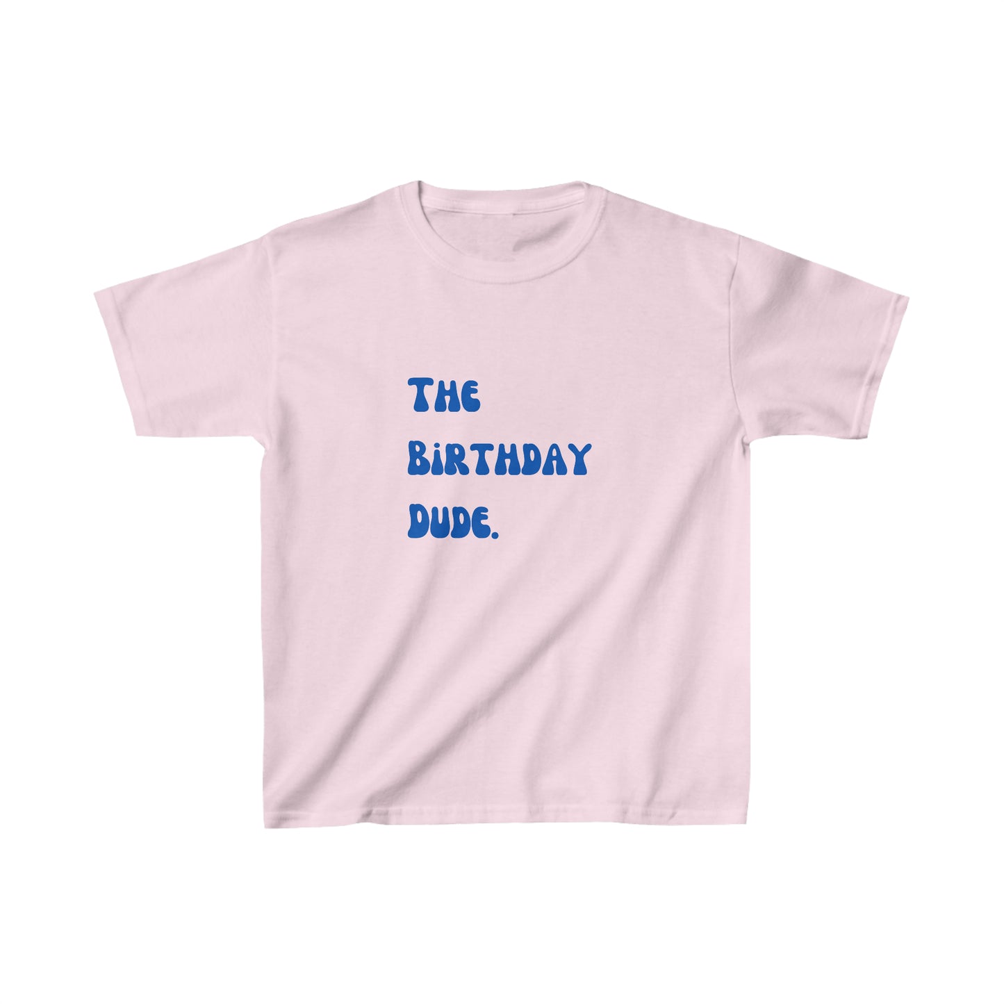 The birthday dude shirt boy birthday shirt kids funny birthday shirt kindergarten shirt little dude shirt little girl shirt Christmas shirt birthday shirts