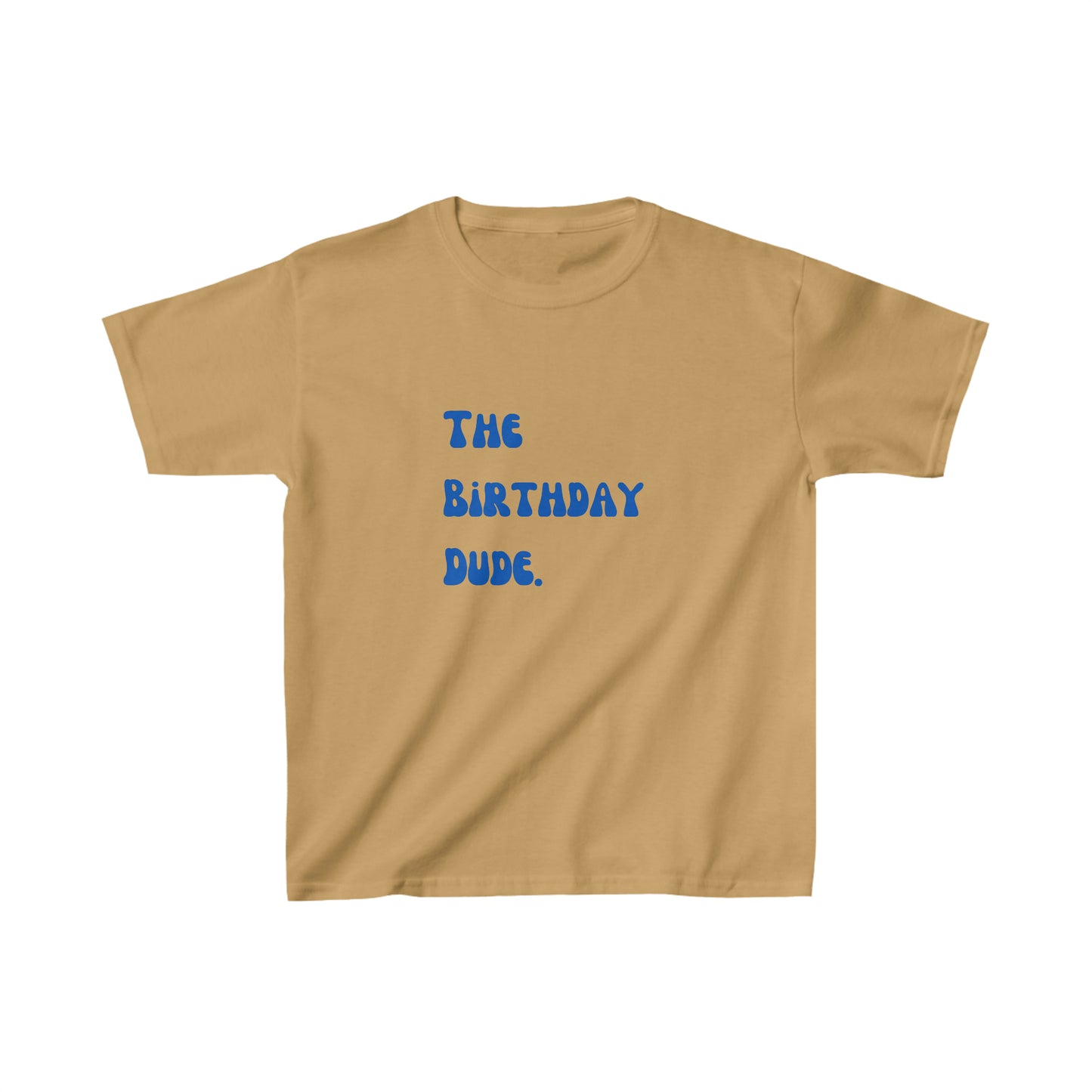 The birthday dude shirt boy birthday shirt kids funny birthday shirt kindergarten shirt little dude shirt little girl shirt Christmas shirt birthday shirts