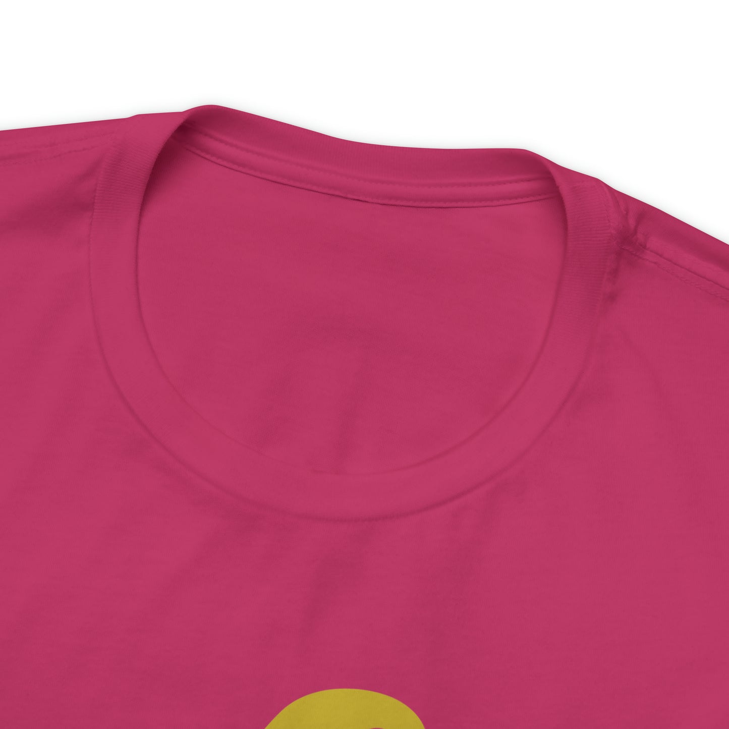 Mischief Manager Hogwarts Alumni shirt, Wizard shirt,Universal Studios Shirts, wizard House School,Merry Christmas gift for her,gift for him