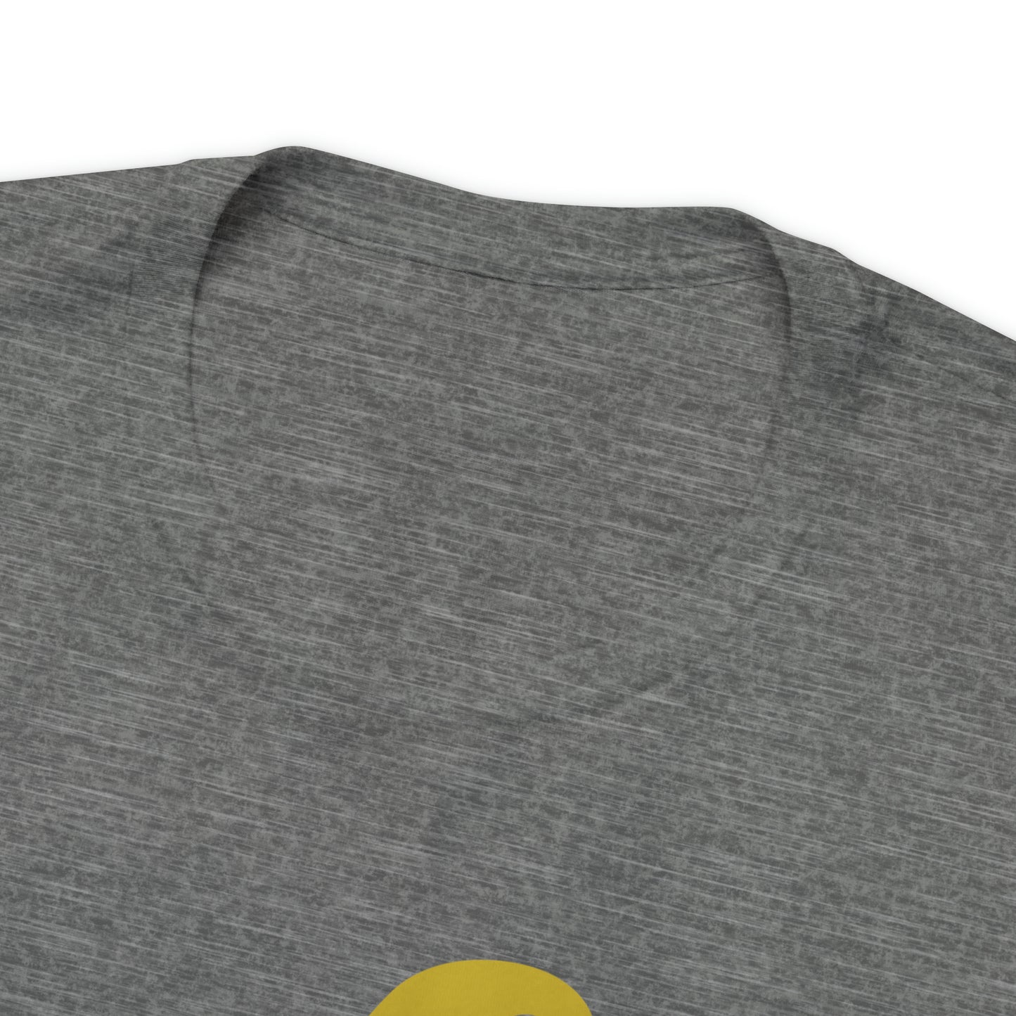 Mischief Manager Hogwarts Alumni shirt, Wizard shirt,Universal Studios Shirts, wizard House School,Merry Christmas gift for her,gift for him