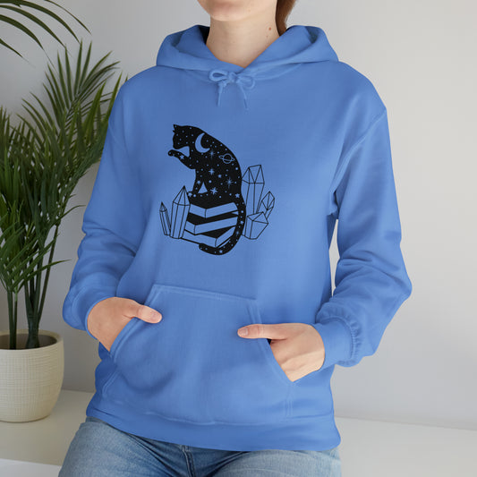 Cat lover hoodie book lover sweater BookShelf control orange cat Shirt Halloween Cat Sweatshirt Gift for Cat Lover Gift for Cat Mom Gift