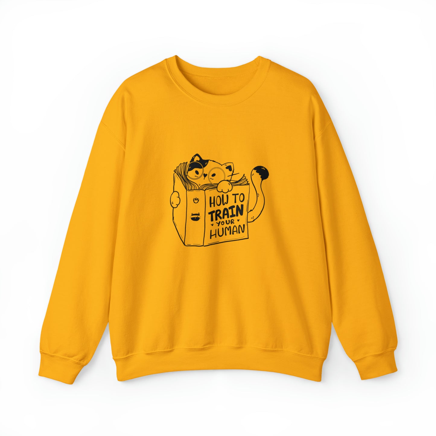 Cat lover Sweatshirt book lover sweater funny train human shirt cat Shirt Halloween Cat Sweatshirt Gift for Cat Lover Gift for Cat Mom Gift