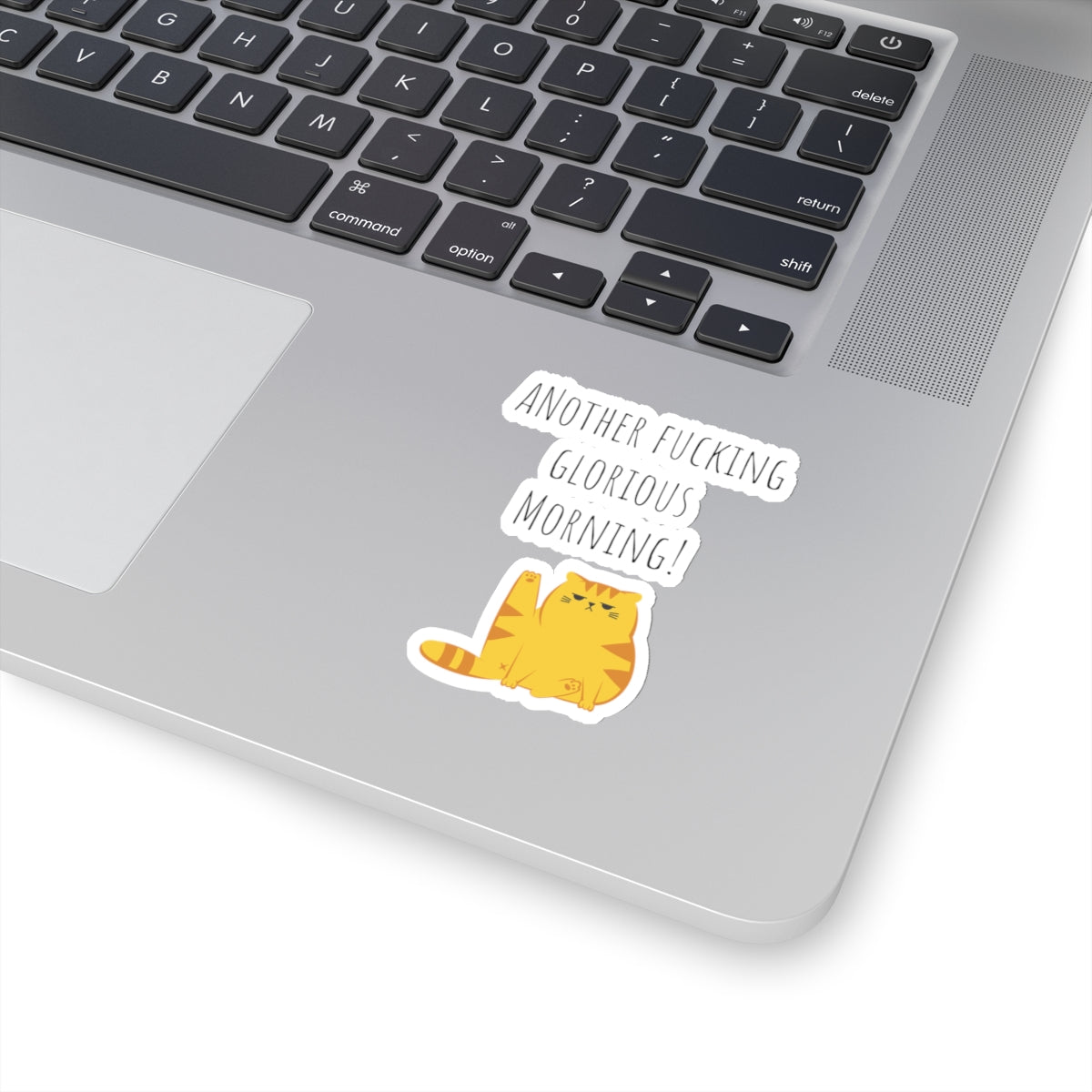 Grumpy cat sticker daily chaos manager sticker coworker gift funny gift bestfriend gift Kiss-Cut Stickers Halloween stickers  sticker