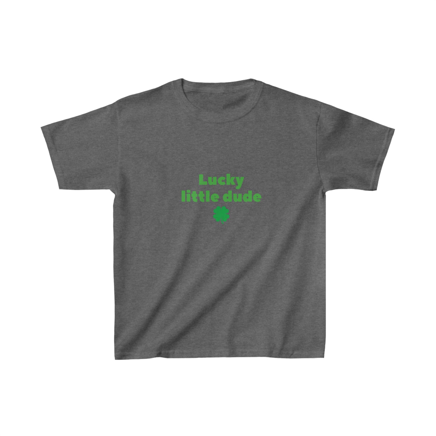 Lucky little dude kids shirt boy shirt st patricks day shirt birthday shirt kid party shirt Christmas shirt birthday shirts
