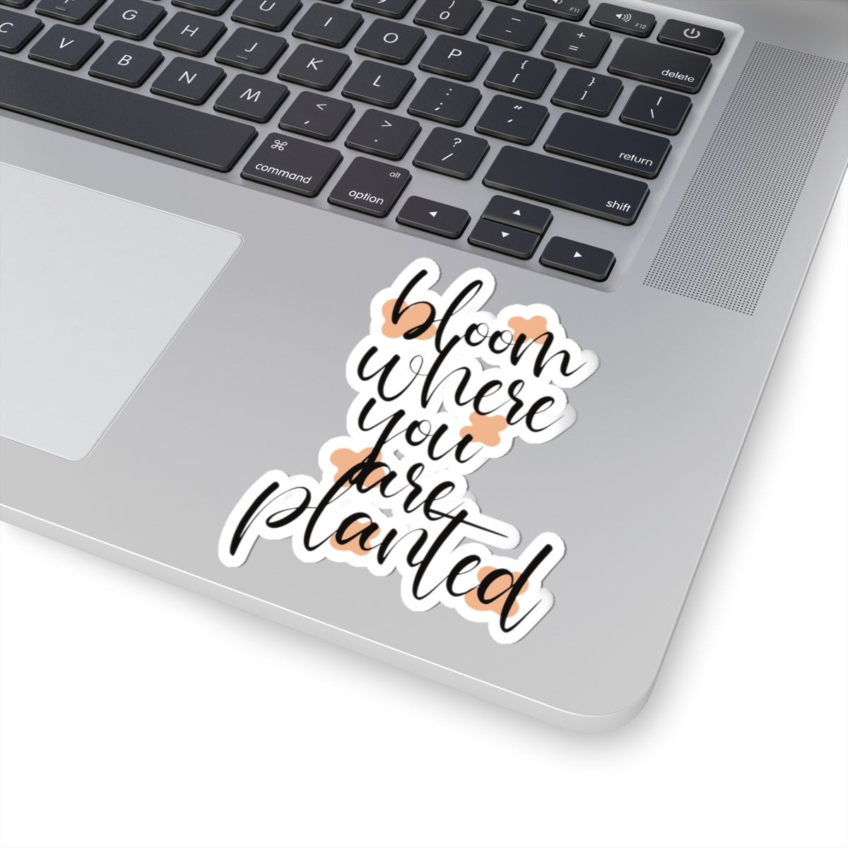Bloom where you planted sticker You are kind Beautiful sticker motivational sticker Magical stickers loved gift for her flower sticker