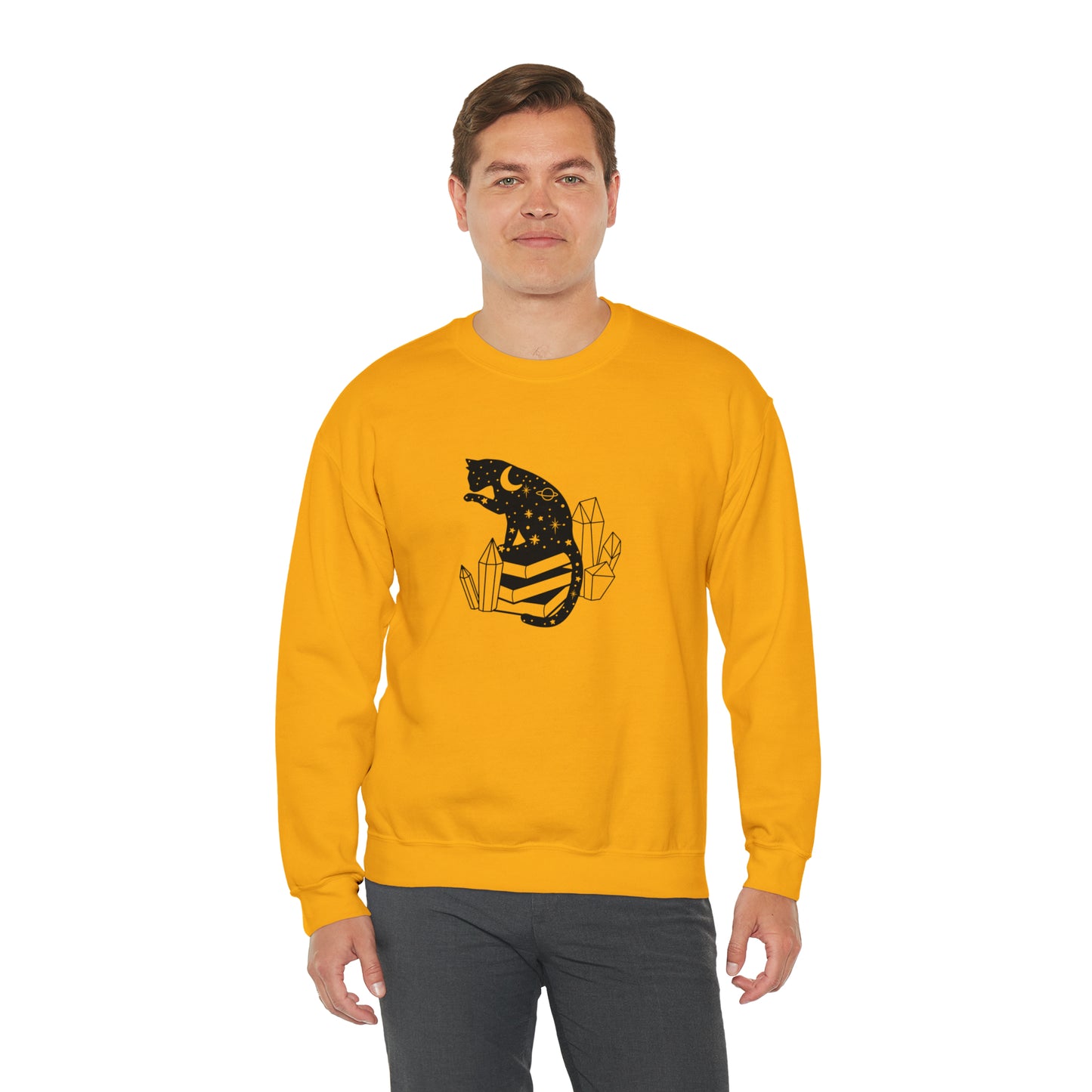 Cat lover Sweatshirt book lover sweater funny train human shirt cat Shirt Halloween Cat Sweatshirt Gift for Cat Lover Gift for Cat Mom Gift