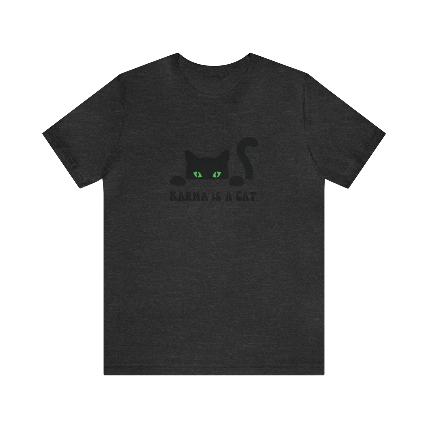 Karma is a cat shirt Cat lover tshirt book lover shirt Taylor witchy cat Shirt Halloween Cat Gift for Cat Lover Gift for Cat swiftie shirt