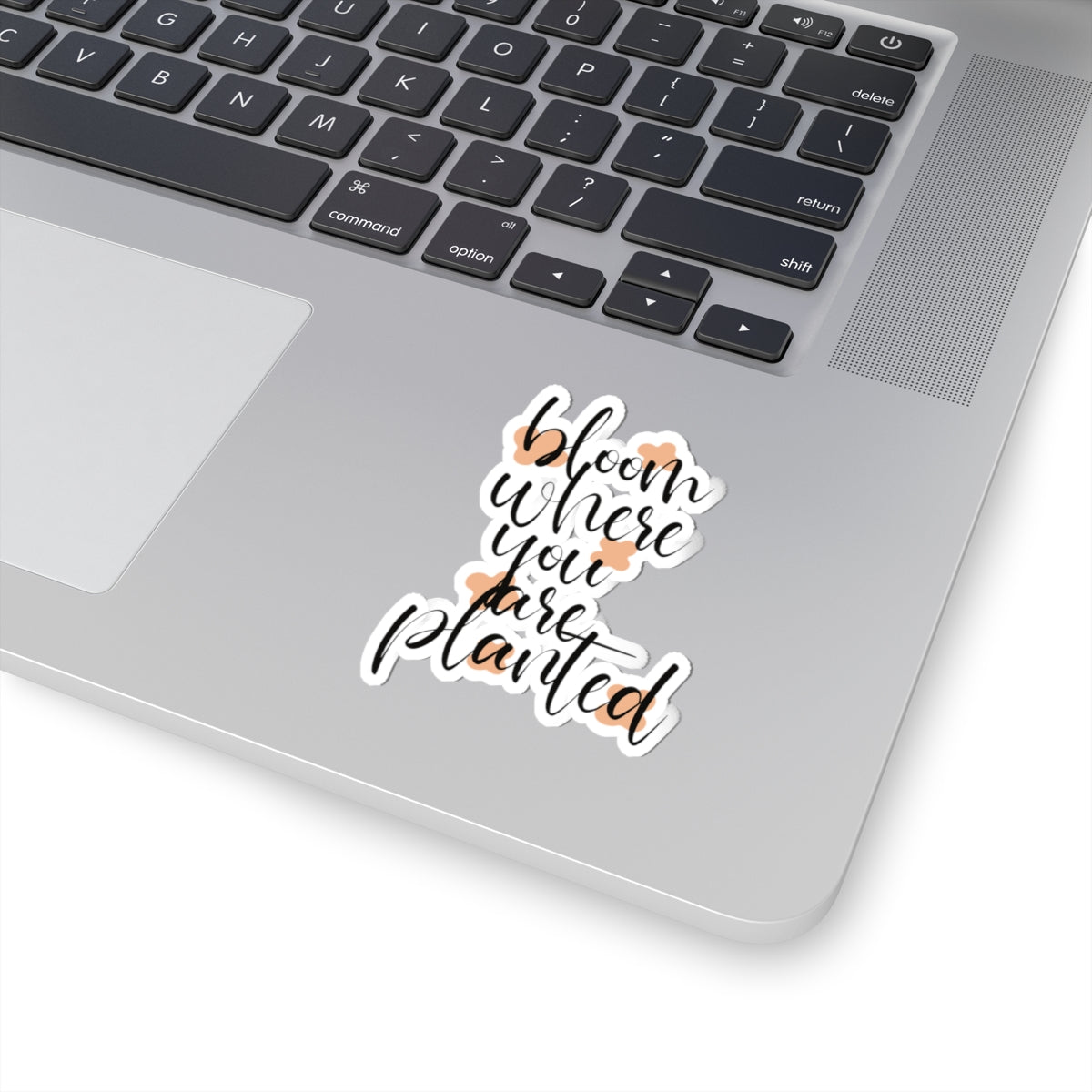 Bloom where you planted sticker You are kind Beautiful sticker motivational sticker Magical stickers loved gift for her flower sticker