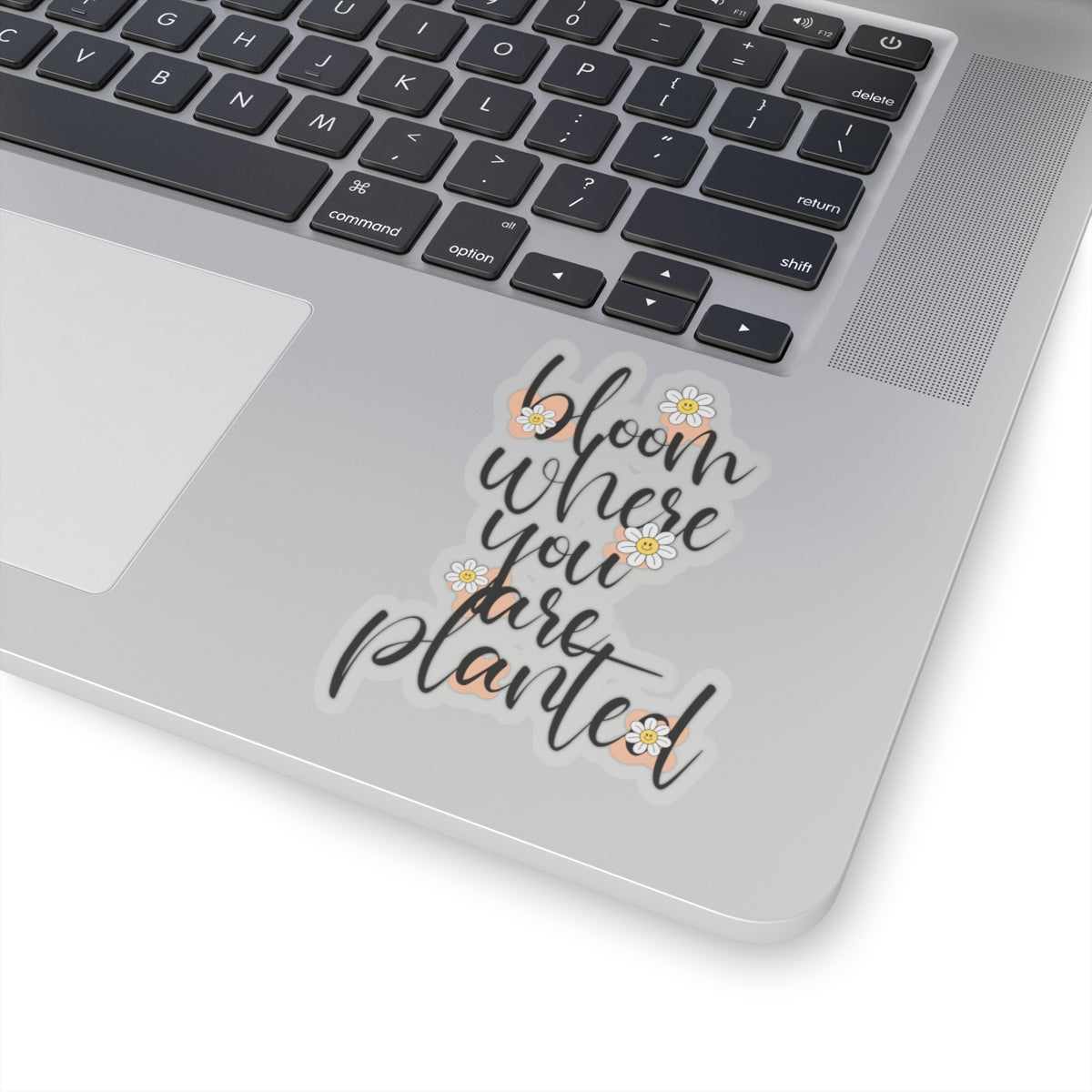 Bloom where you are planted sticker motivation sticker bestie sticker motivational gift bestfriend gift Kiss-Cut sticker self love