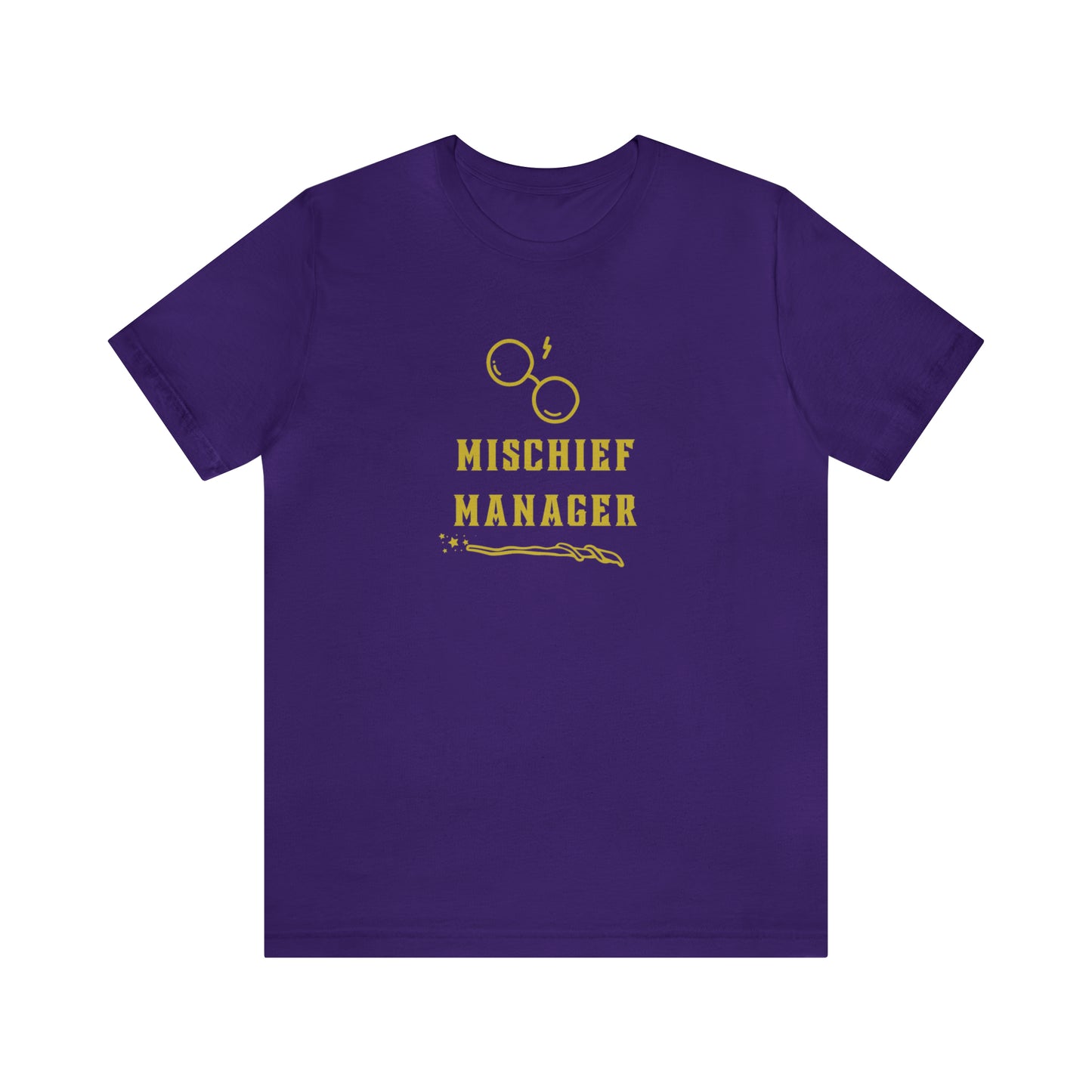 Mischief Manager Hogwarts Alumni shirt, Wizard shirt,Universal Studios Shirts, wizard House School,Merry Christmas gift for her,gift for him