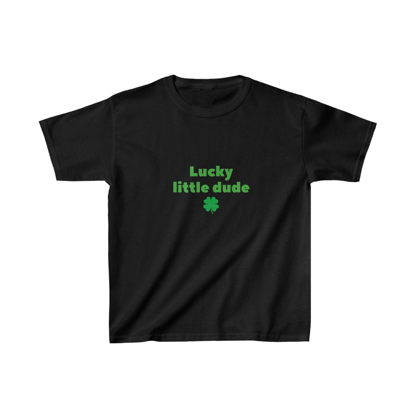 Lucky little dude kids shirt boy shirt st patricks day shirt birthday shirt kid party shirt Christmas shirt birthday shirts