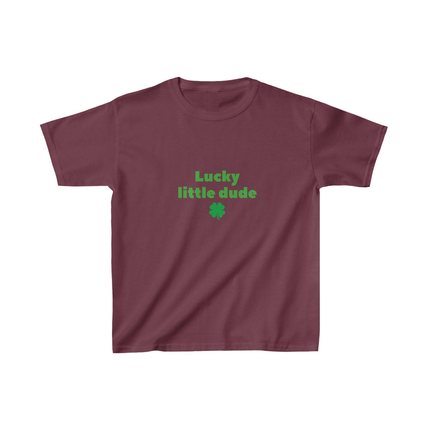 Lucky little dude kids shirt boy shirt st patricks day shirt birthday shirt kid party shirt Christmas shirt birthday shirts