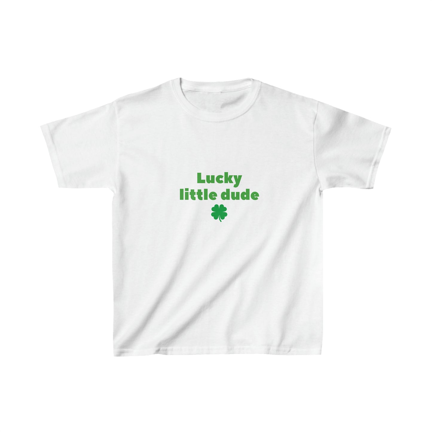 Lucky little dude kids shirt boy shirt st patricks day shirt birthday shirt kid party shirt Christmas shirt birthday shirts