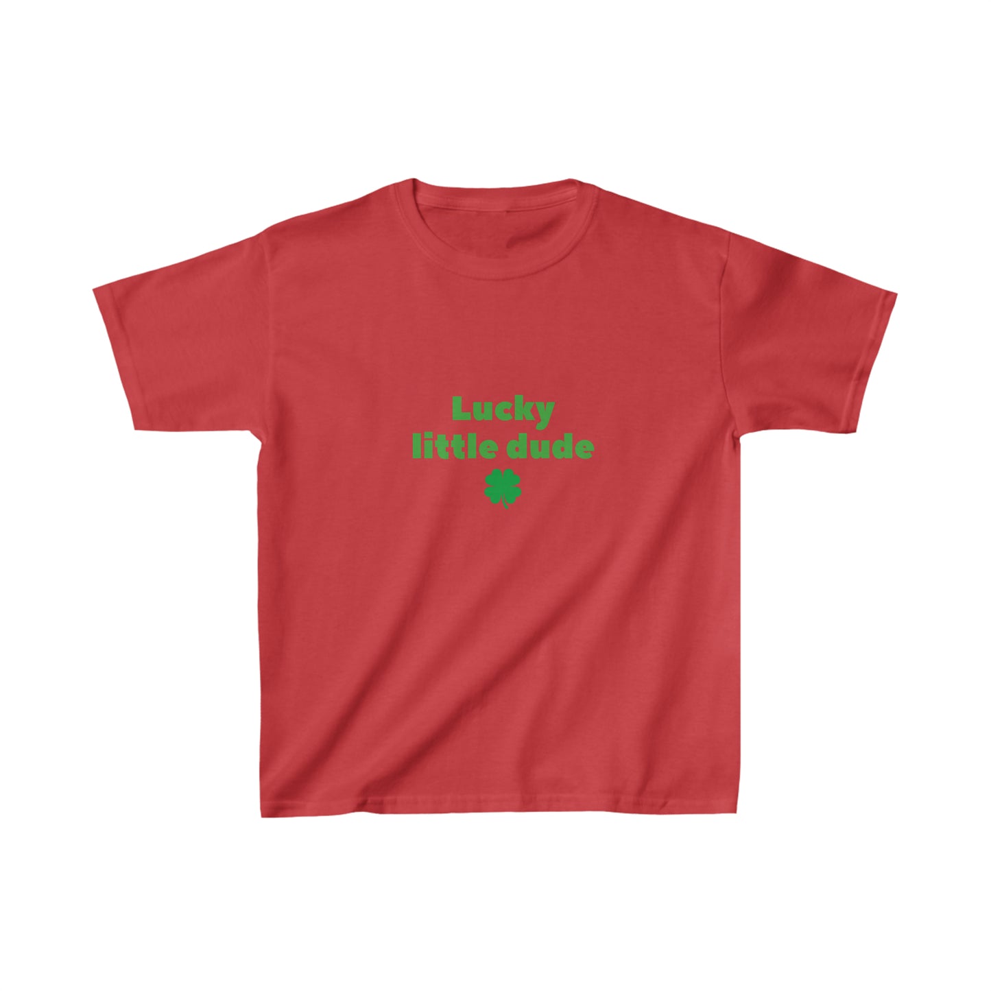 Lucky little dude kids shirt boy shirt st patricks day shirt birthday shirt kid party shirt Christmas shirt birthday shirts