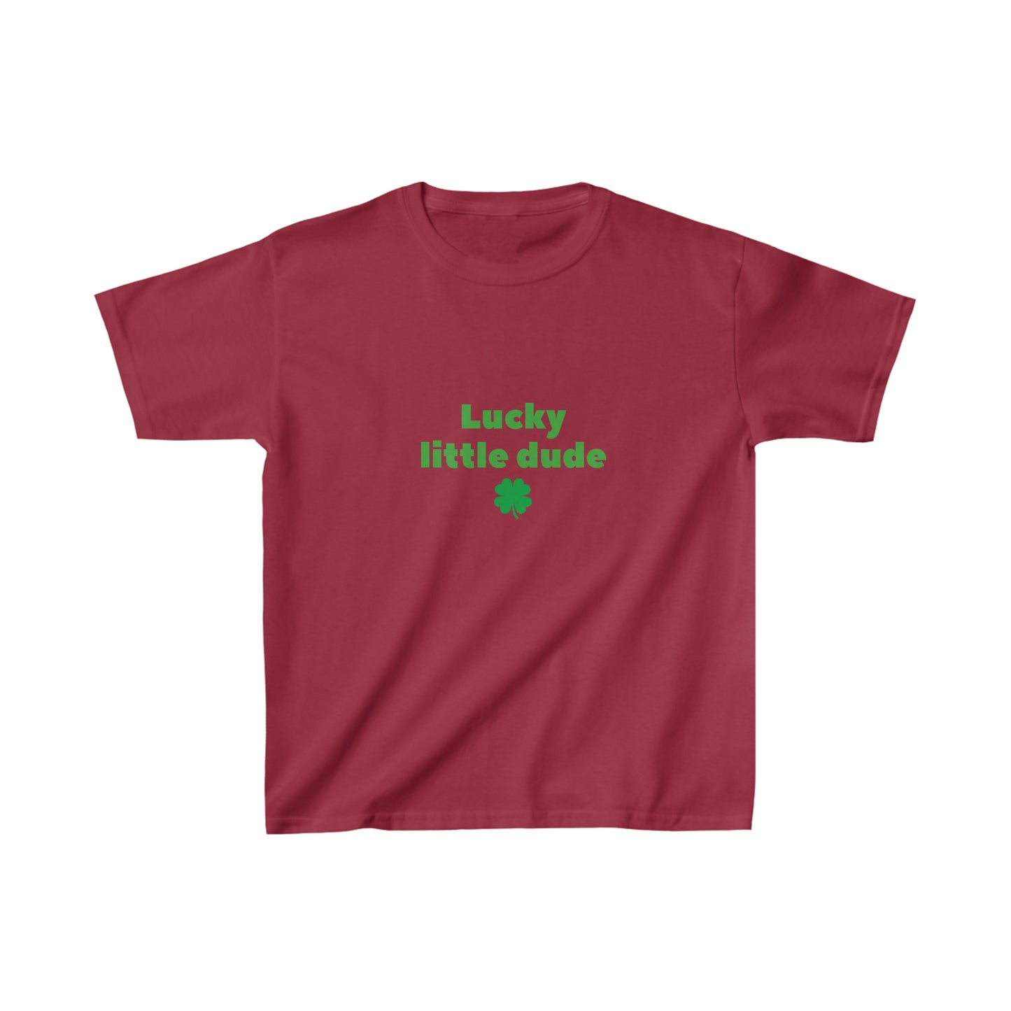 Lucky little dude kids shirt boy shirt st patricks day shirt birthday shirt kid party shirt Christmas shirt birthday shirts