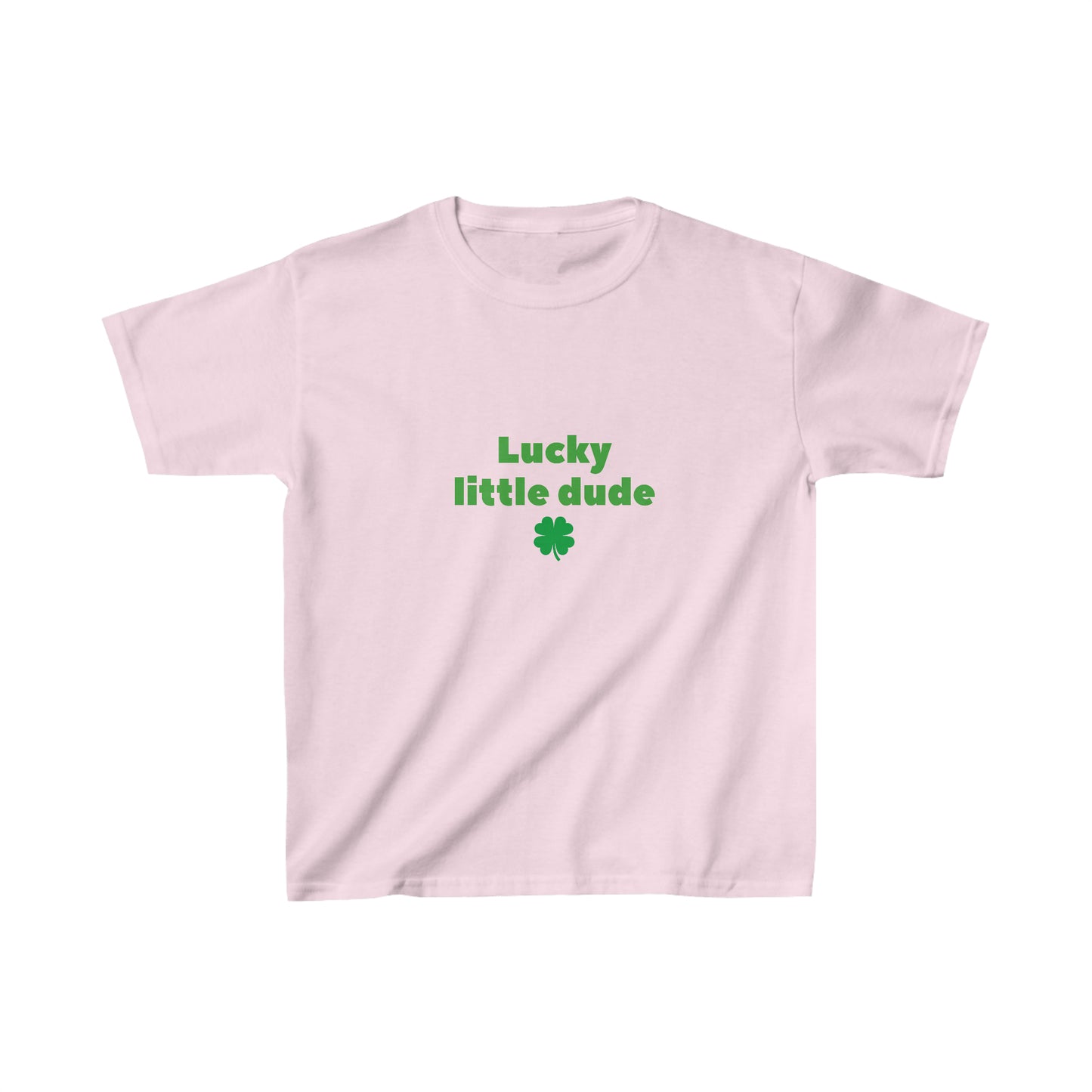 Lucky little dude kids shirt boy shirt st patricks day shirt birthday shirt kid party shirt Christmas shirt birthday shirts