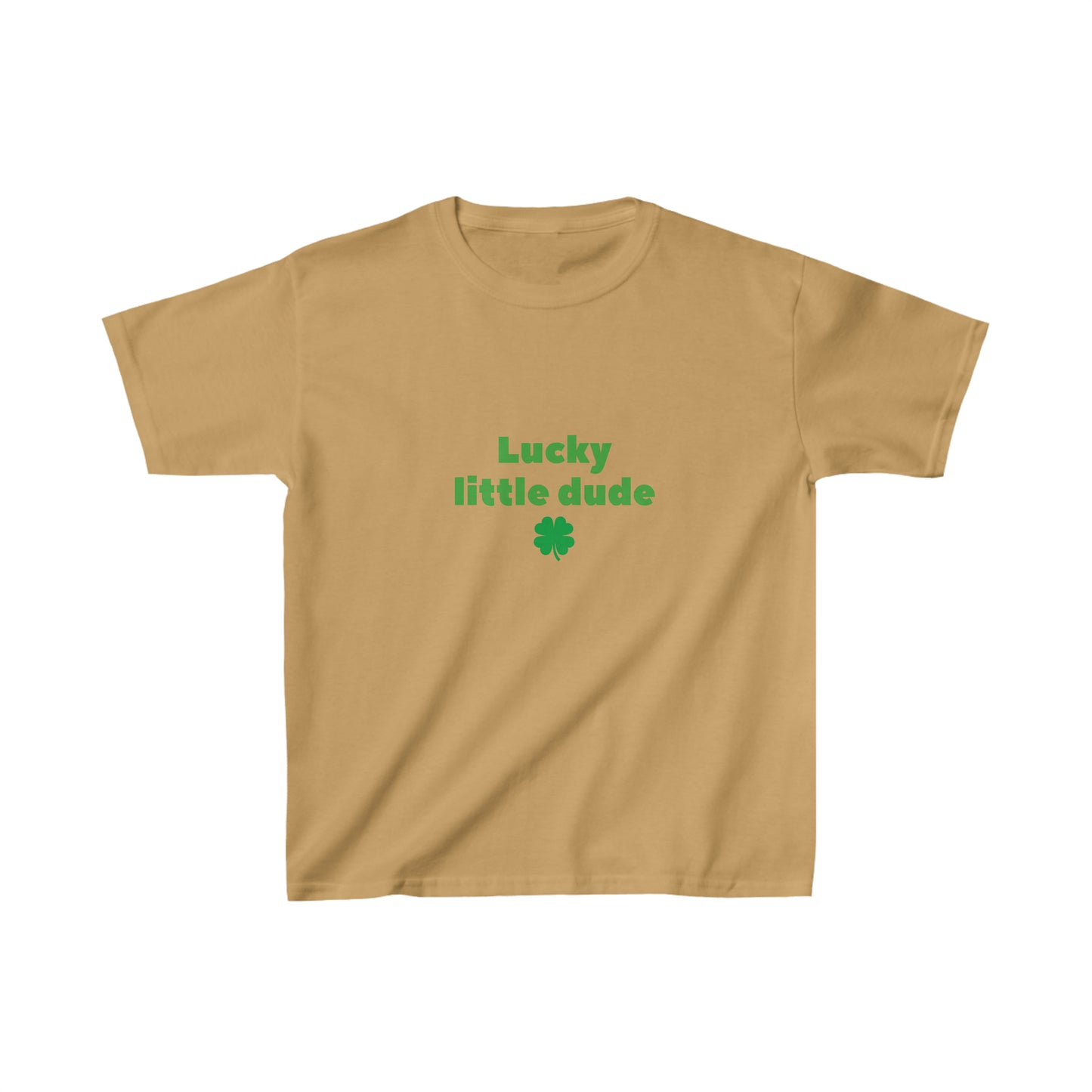 Lucky little dude kids shirt boy shirt st patricks day shirt birthday shirt kid party shirt Christmas shirt birthday shirts