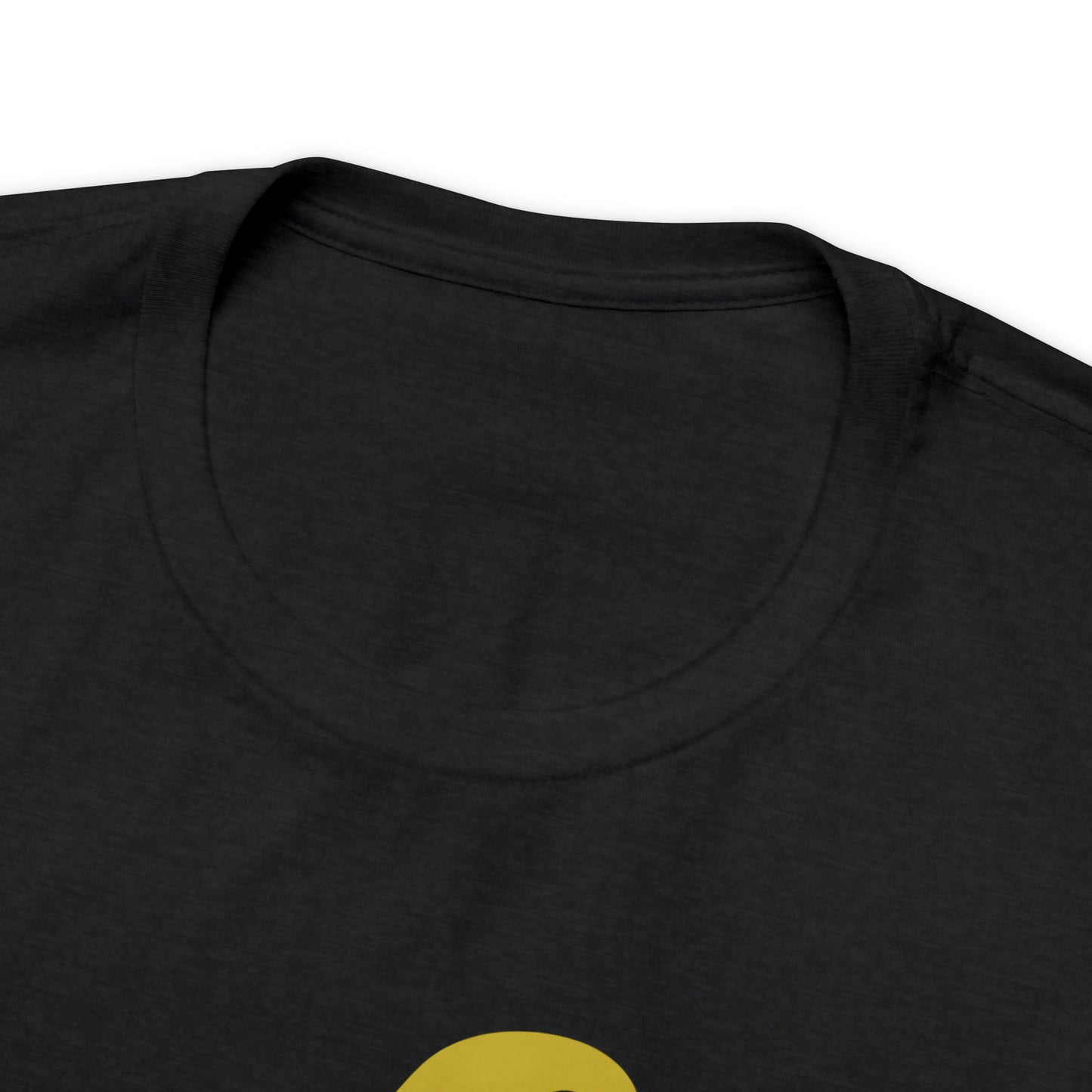 Mischief Manager Hogwarts Alumni shirt, Wizard shirt,Universal Studios Shirts, wizard House School,Merry Christmas gift for her,gift for him