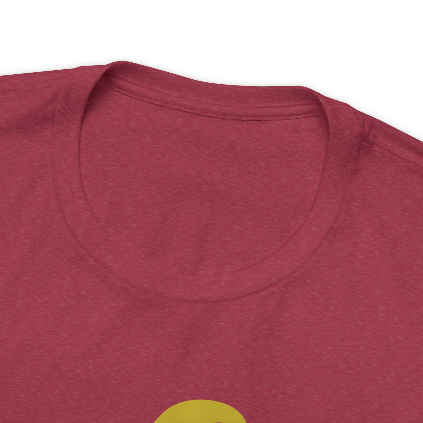 Mischief Manager Hogwarts Alumni shirt, Wizard shirt,Universal Studios Shirts, wizard House School,Merry Christmas gift for her,gift for him