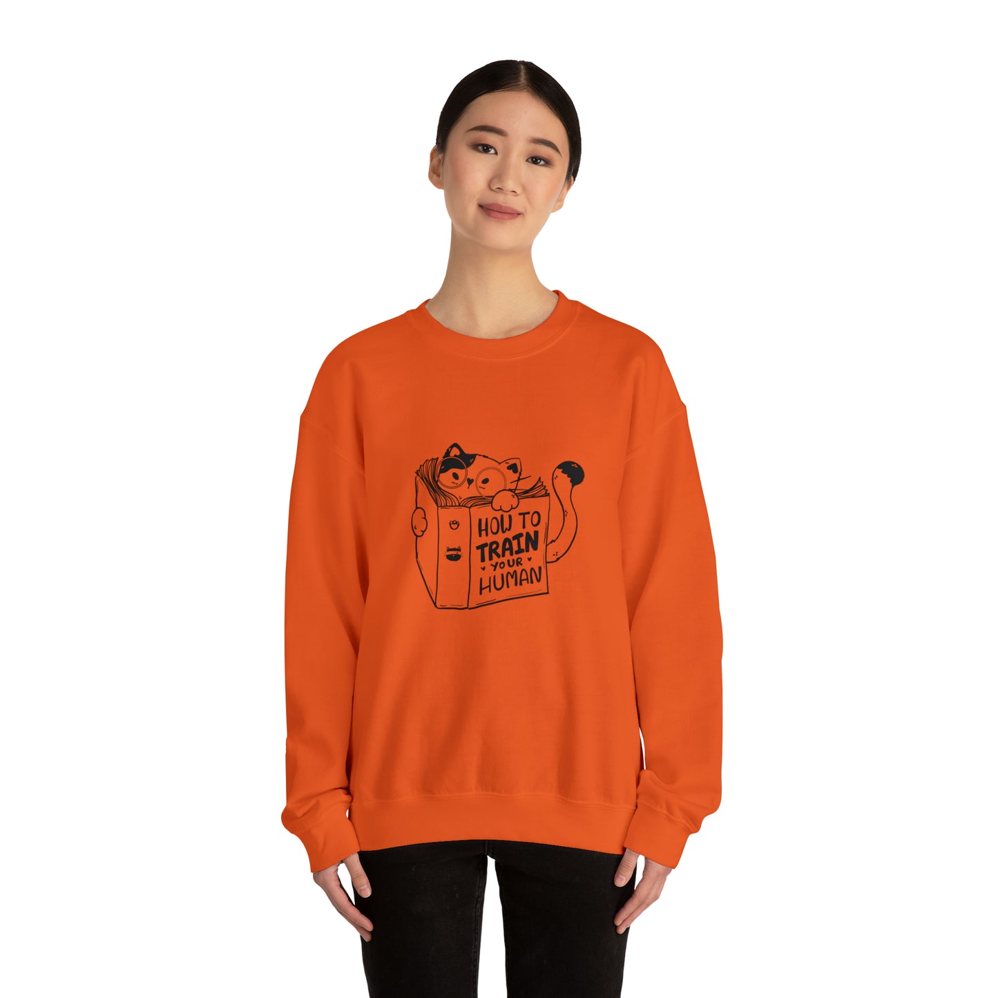 Cat lover Sweatshirt book lover sweater funny train human shirt cat Shirt Halloween Cat Sweatshirt Gift for Cat Lover Gift for Cat Mom Gift