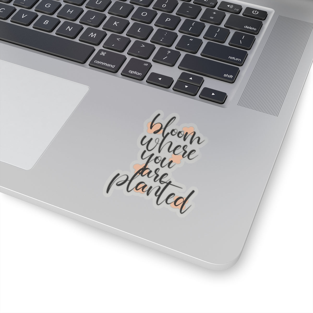 Bloom where you planted sticker You are kind Beautiful sticker motivational sticker Magical stickers loved gift for her flower sticker