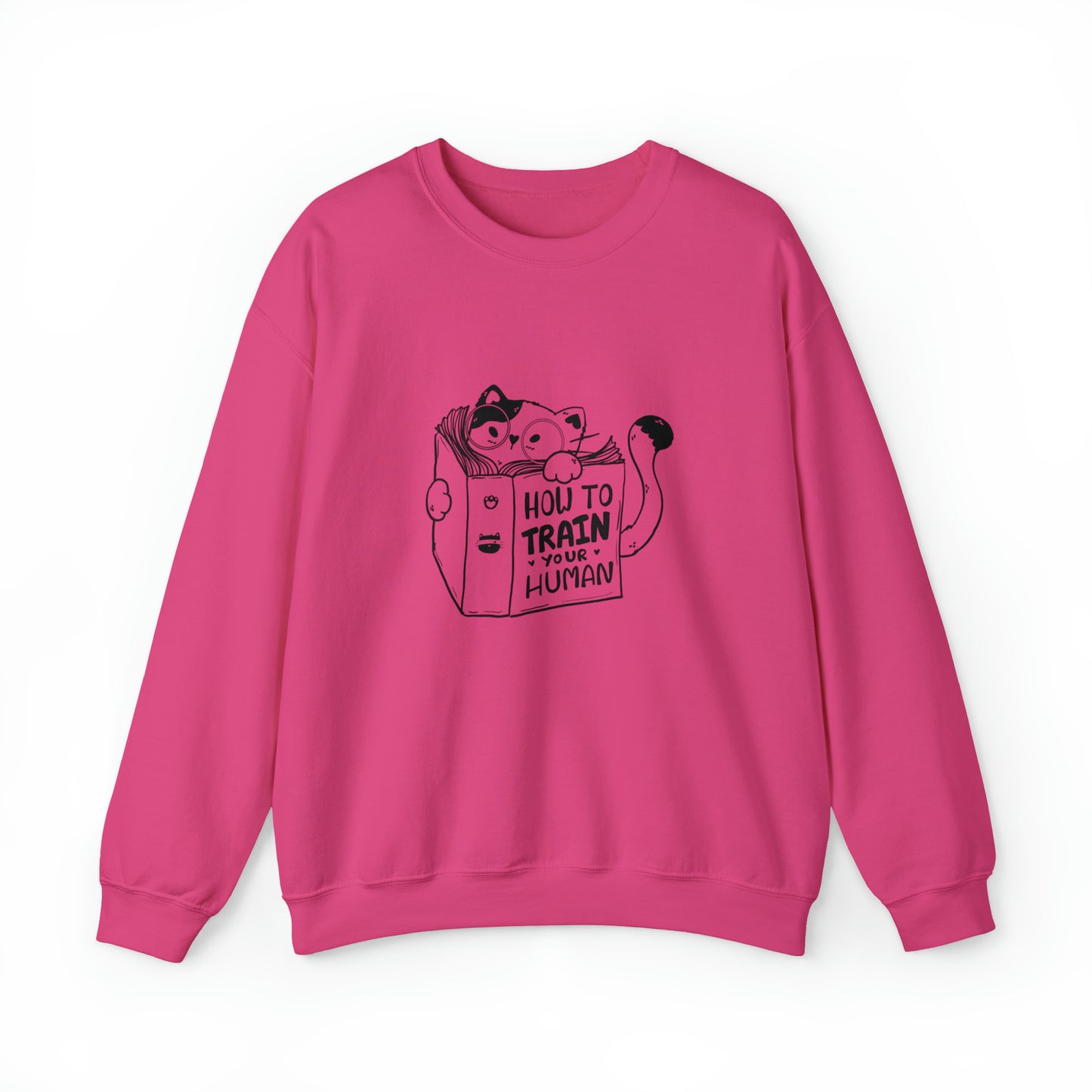 Cat lover Sweatshirt book lover sweater funny train human shirt cat Shirt Halloween Cat Sweatshirt Gift for Cat Lover Gift for Cat Mom Gift