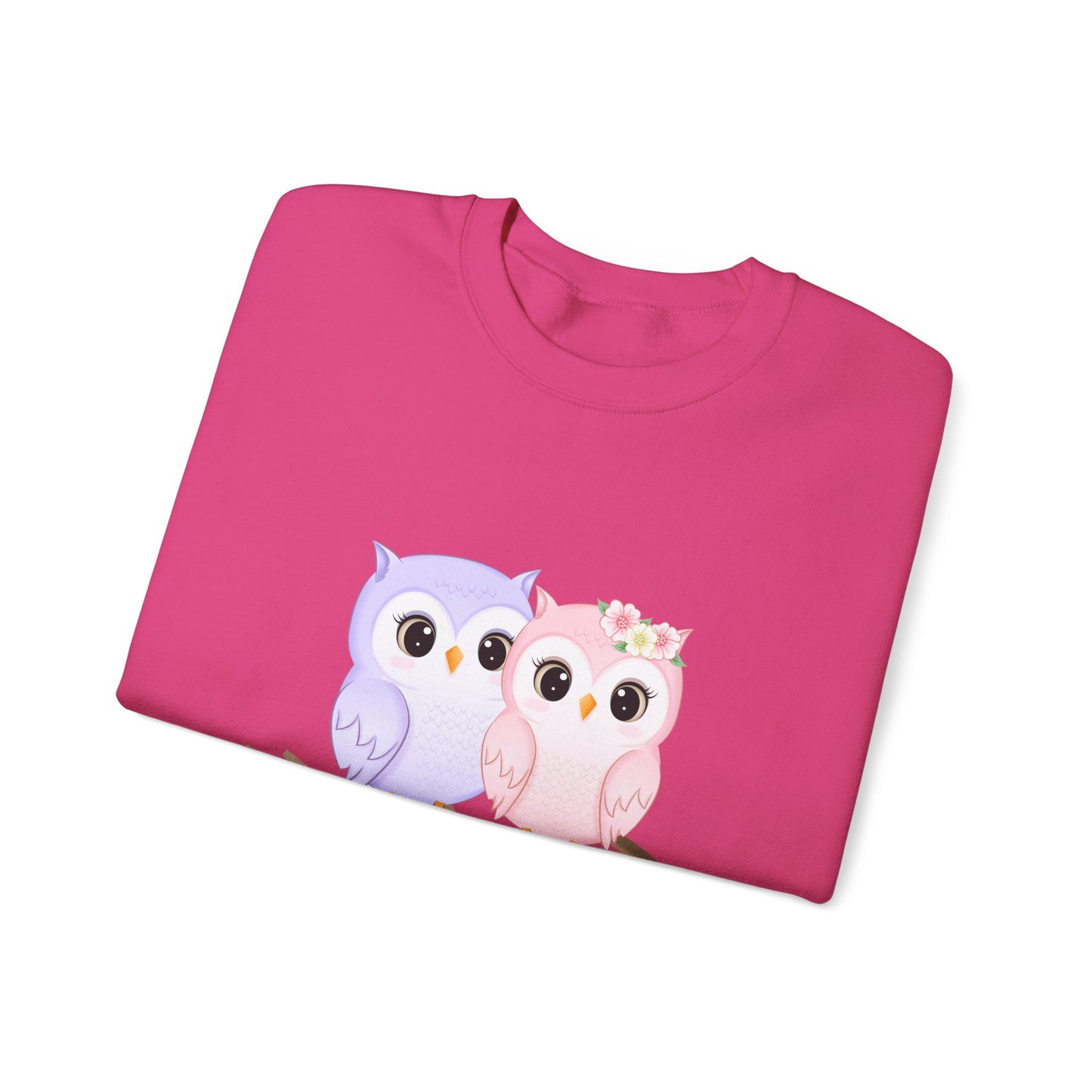 Owl Love sweater valentines Day sweatshirt valentines day shirt best friend gift for her Unisex owl sweater Love shirt unique holiday gift