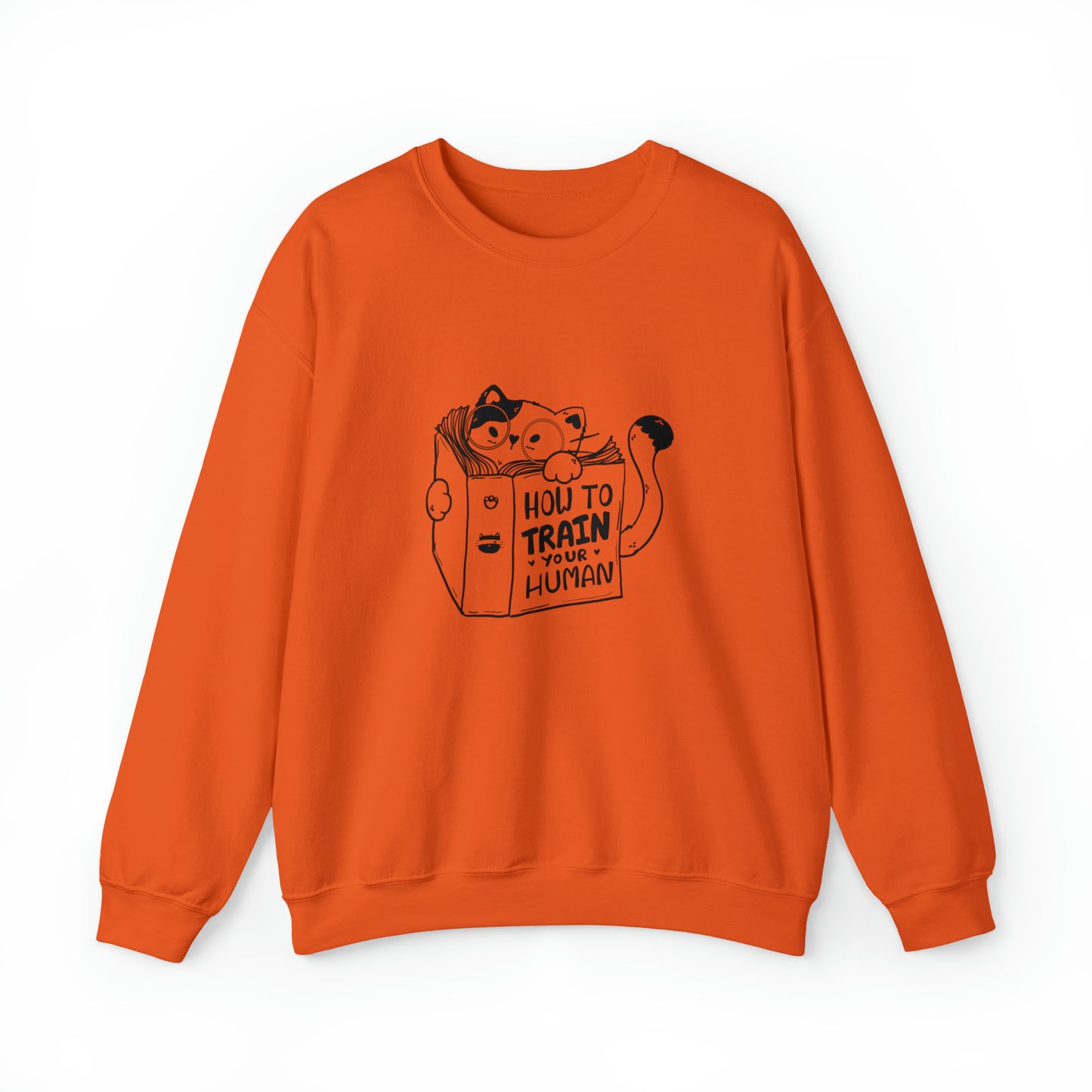 Cat lover Sweatshirt book lover sweater funny train human shirt cat Shirt Halloween Cat Sweatshirt Gift for Cat Lover Gift for Cat Mom Gift