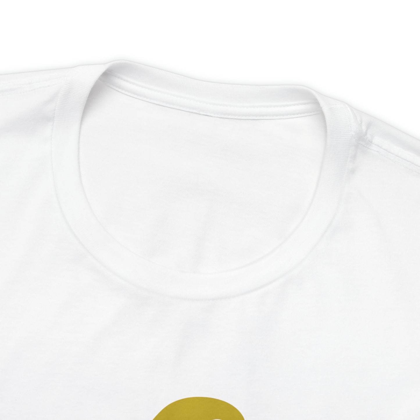 Mischief Manager Hogwarts Alumni shirt, Wizard shirt,Universal Studios Shirts, wizard House School,Merry Christmas gift for her,gift for him