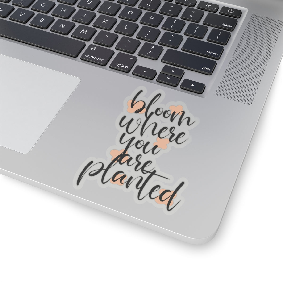 Bloom where you planted sticker You are kind Beautiful sticker motivational sticker Magical stickers loved gift for her flower sticker