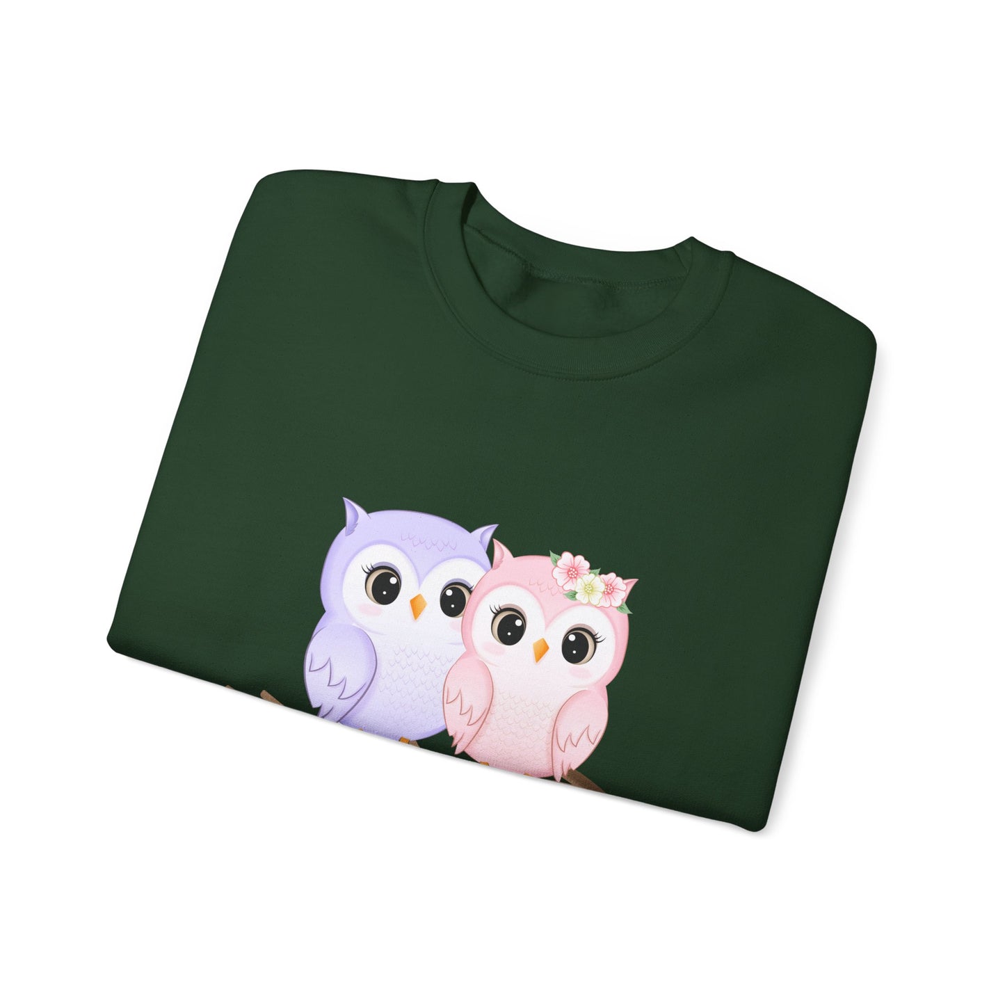 Owl Love sweater valentines Day sweatshirt valentines day shirt best friend gift for her Unisex owl sweater Love shirt unique holiday gift