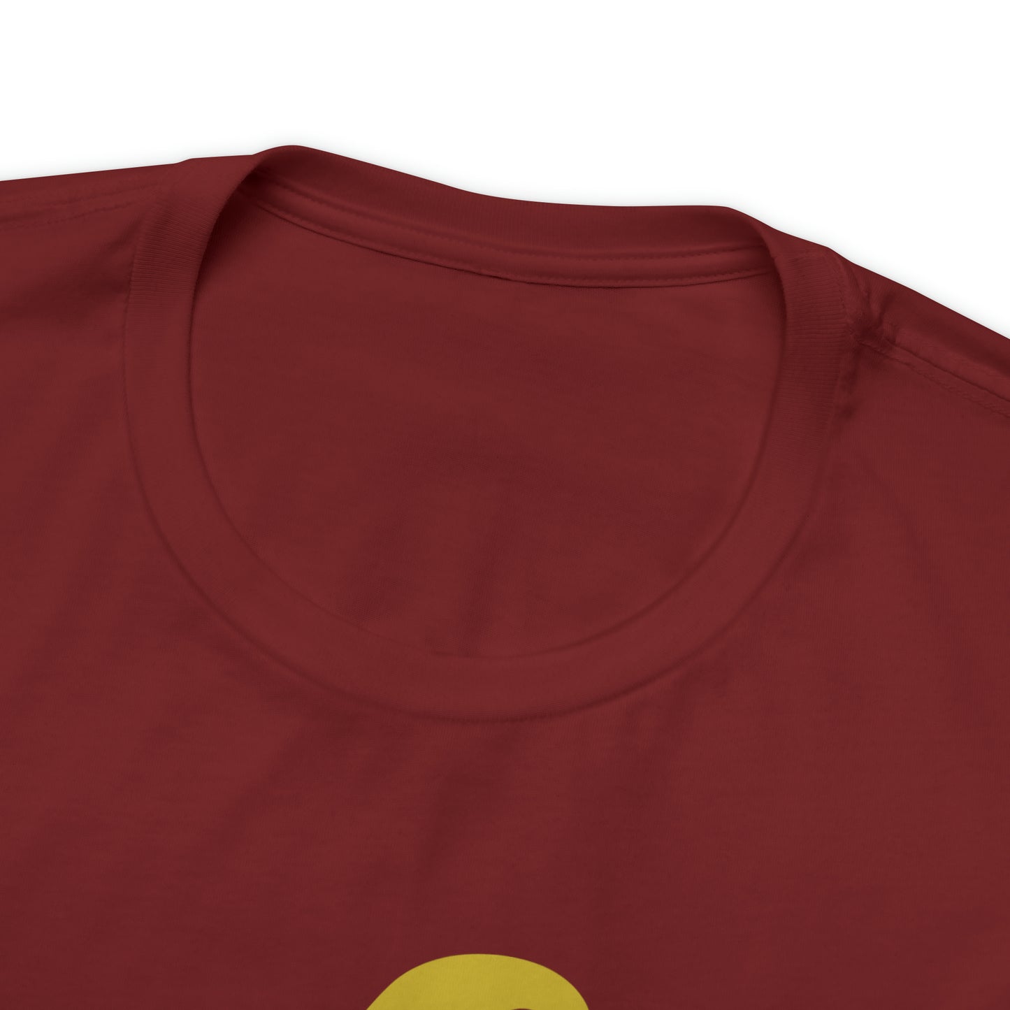 Mischief Manager Hogwarts Alumni shirt, Wizard shirt,Universal Studios Shirts, wizard House School,Merry Christmas gift for her,gift for him