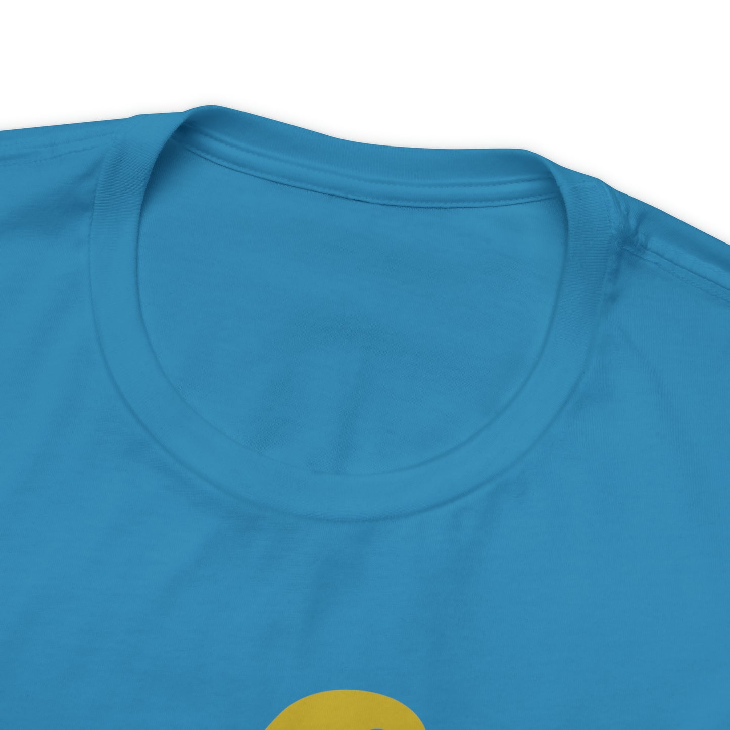 Mischief Manager Hogwarts Alumni shirt, Wizard shirt,Universal Studios Shirts, wizard House School,Merry Christmas gift for her,gift for him