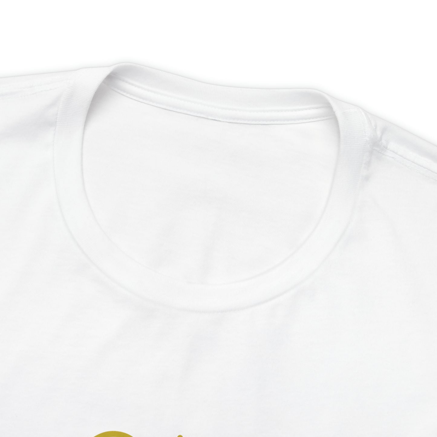 Mischief Manager Hogwarts Alumni shirt, Wizard shirt,Universal Studios Shirts, wizard House School,Merry Christmas gift for her,gift for him