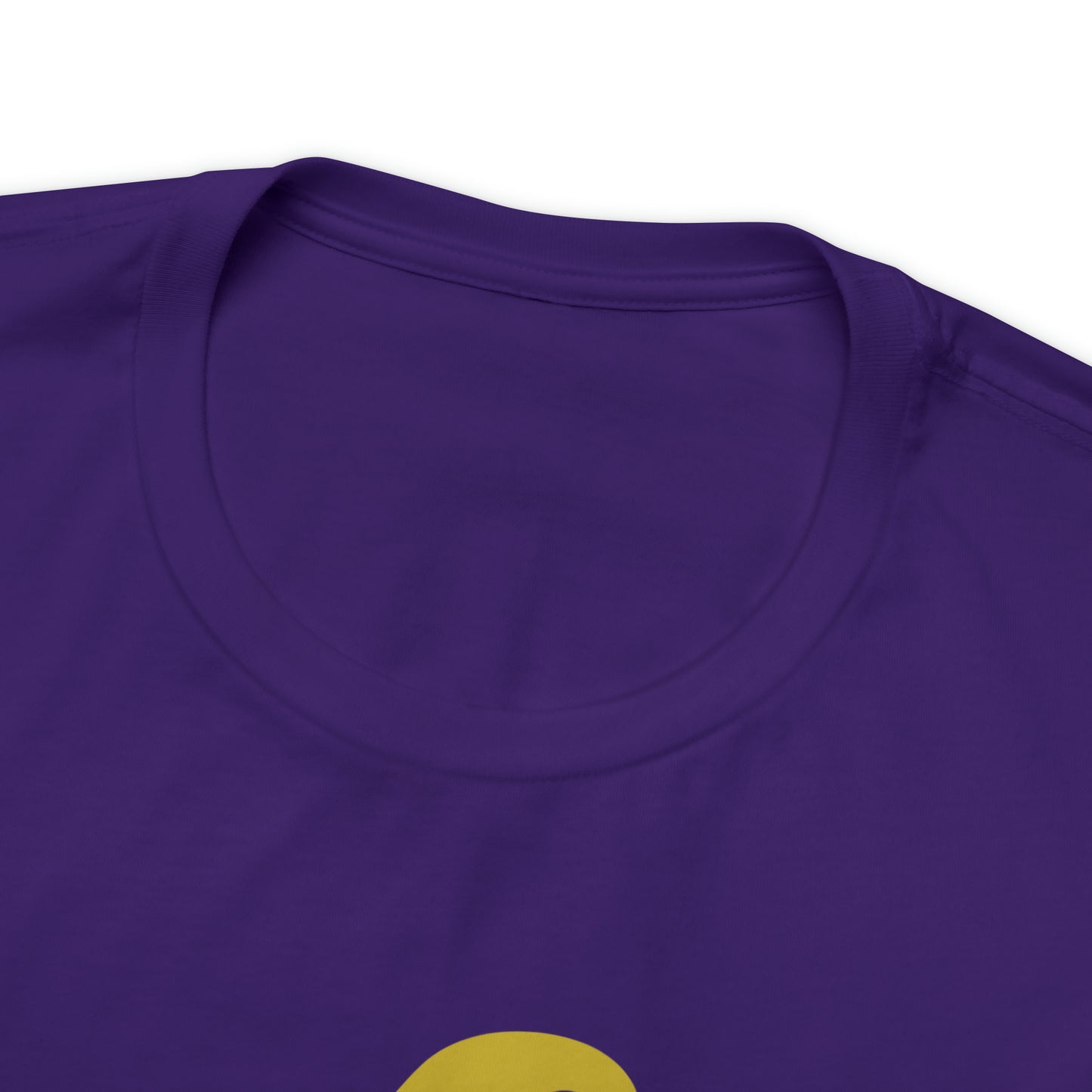 Mischief Manager Hogwarts Alumni shirt, Wizard shirt,Universal Studios Shirts, wizard House School,Merry Christmas gift for her,gift for him